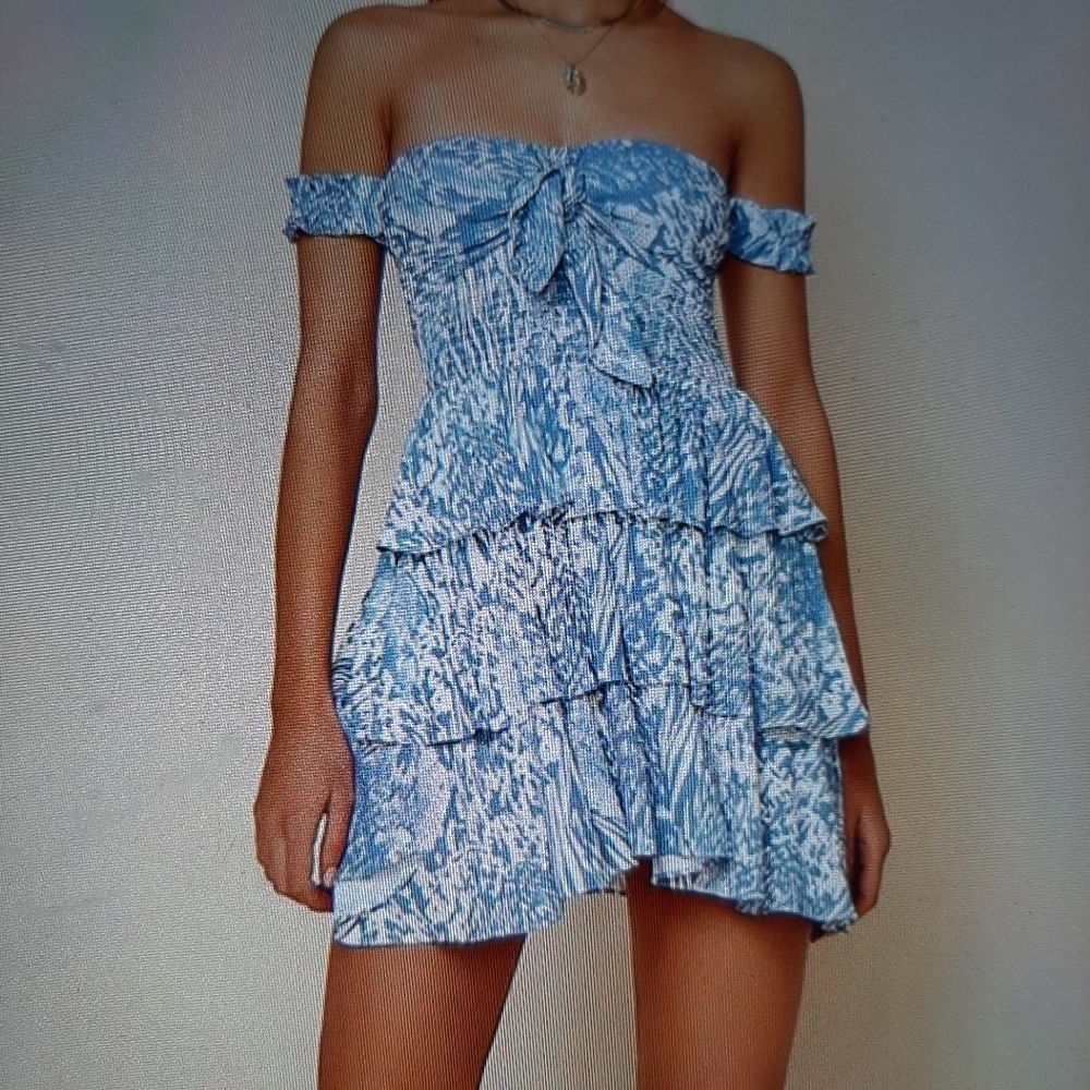 NWT Blue Life Sand Dollar  Daliza Ruffle Dress
